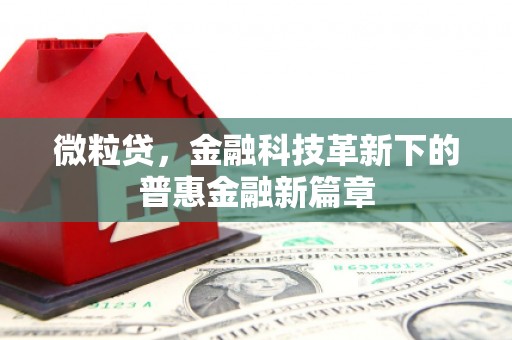 开福微粒贷，金融科技革新下的普惠金融新篇章