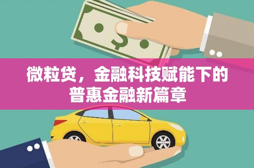 开福微粒贷，金融科技赋能下的普惠金融新篇章