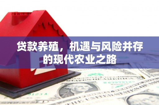 开福贷款养殖，机遇与风险并存的现代农业之路