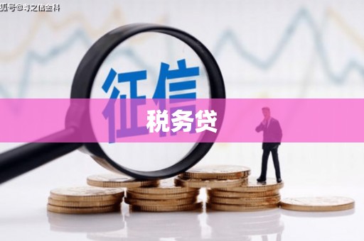 开福税务贷