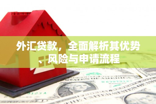 开福外汇贷款，全面解析其优势、风险与申请流程