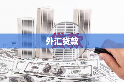 开福外汇贷款