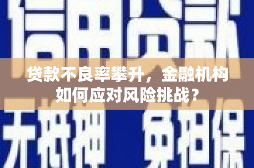 开福贷款不良率攀升，金融机构如何应对风险挑战？