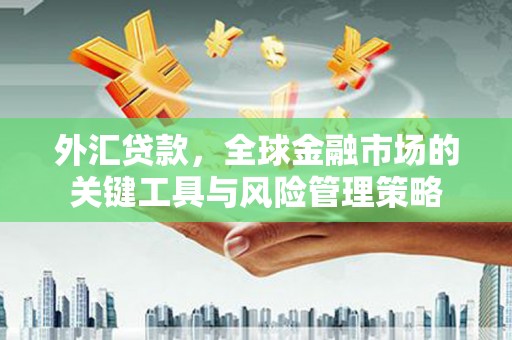 开福外汇贷款，全球金融市场的关键工具与风险管理策略