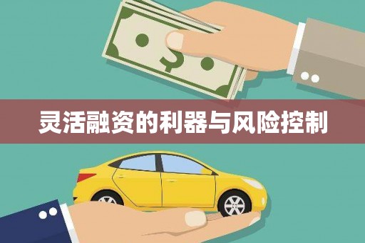 开福灵活融资的利器与风险控制