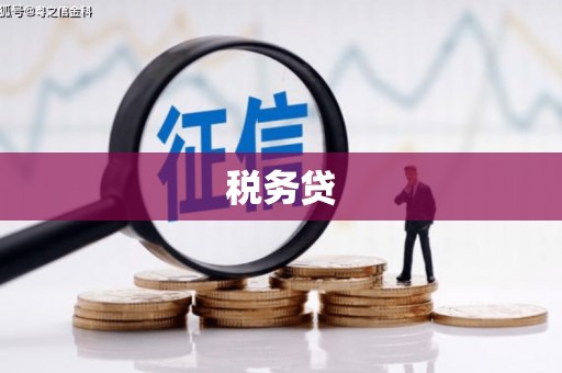 开福税务贷