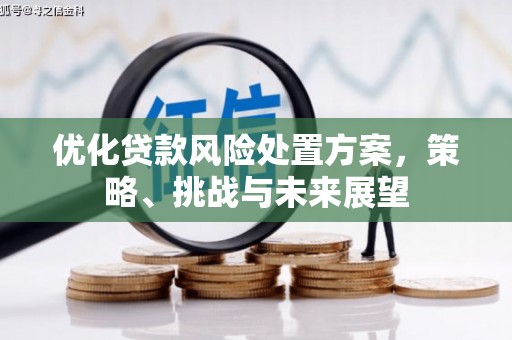 开福优化贷款风险处置方案，策略、挑战与未来展望