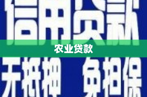 开福农业贷款
