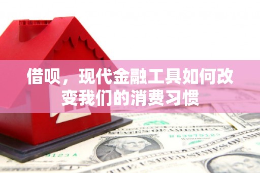 开福借呗，现代金融工具如何改变我们的消费习惯
