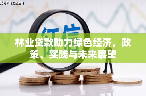开福林业贷款助力绿色经济，政策、实践与未来展望