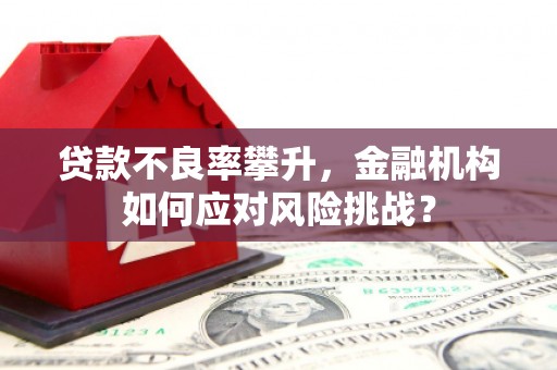 开福贷款不良率攀升，金融机构如何应对风险挑战？