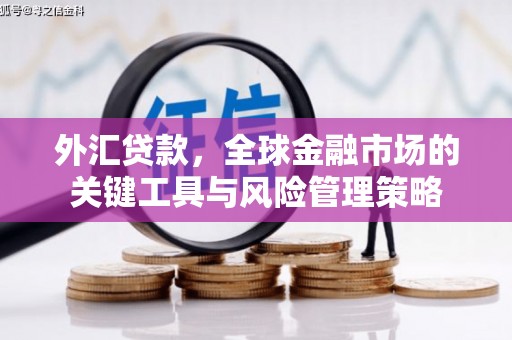 开福外汇贷款，全球金融市场的关键工具与风险管理策略