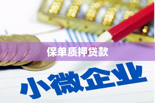 开福保单质押贷款
