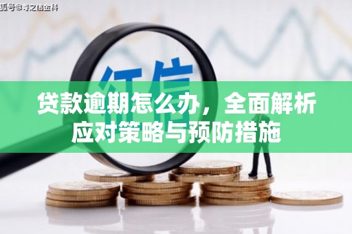 开福贷款逾期怎么办，全面解析应对策略与预防措施
