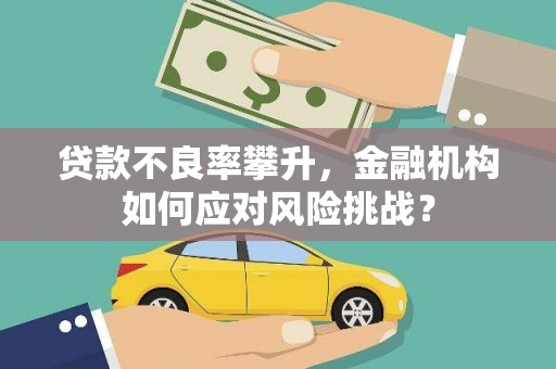 开福贷款不良率攀升，金融机构如何应对风险挑战？