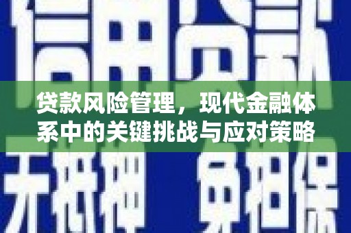 开福贷款风险管理，现代金融体系中的关键挑战与应对策略