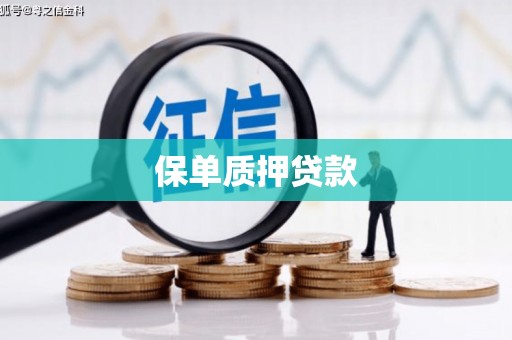 开福保单质押贷款