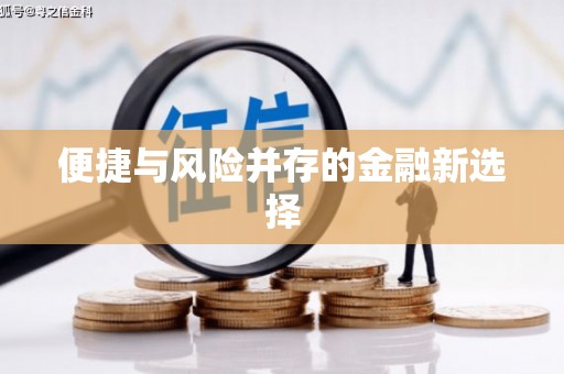 开福便捷与风险并存的金融新选择