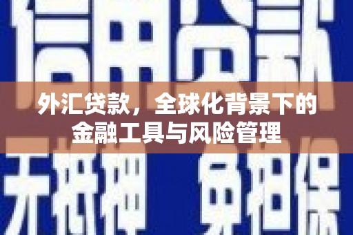 开福外汇贷款，全球化背景下的金融工具与风险管理